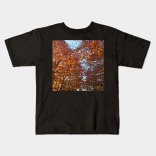 Fall leaves in the sun Kids T-Shirt